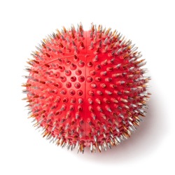 Massagegerät von Dr. Lyapko "Nadelball" 4,0 AG, Massageball, Reha, Akupunktur, Entspannung.